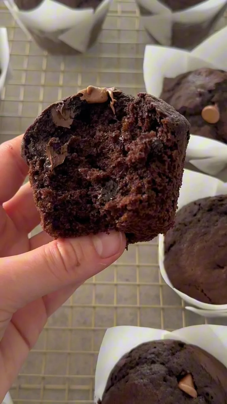 Freshly baked double chocolate muffins with chocolate chips