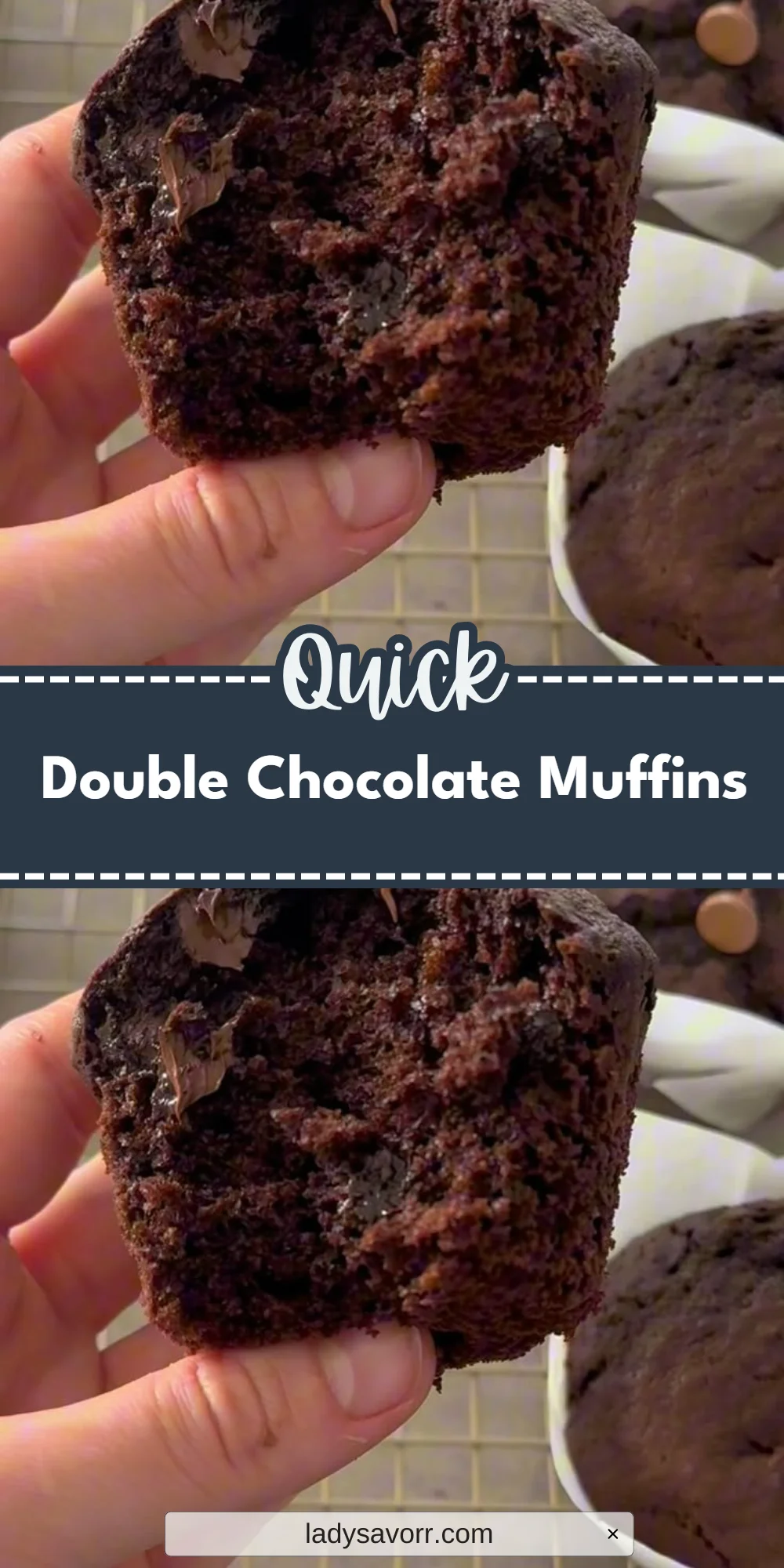 Double Chocolate Muffins