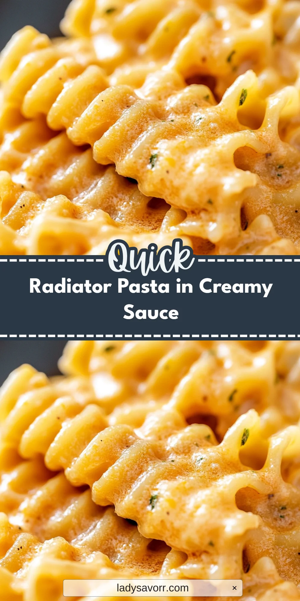 Radiator Pasta in Creamy Sauce