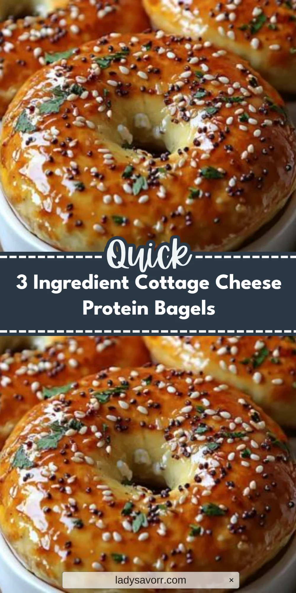 3 Ingredient Cottage Cheese Protein Bagels