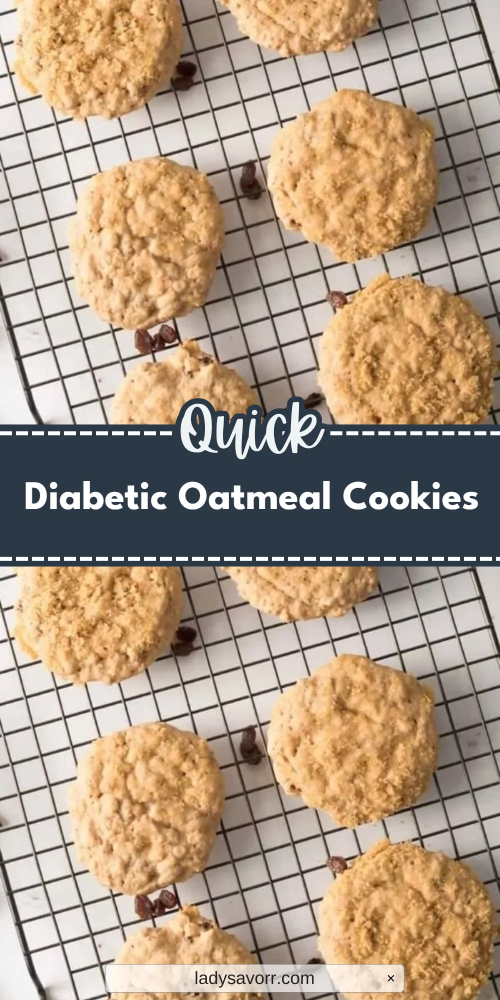 Diabetic Oatmeal Cookies