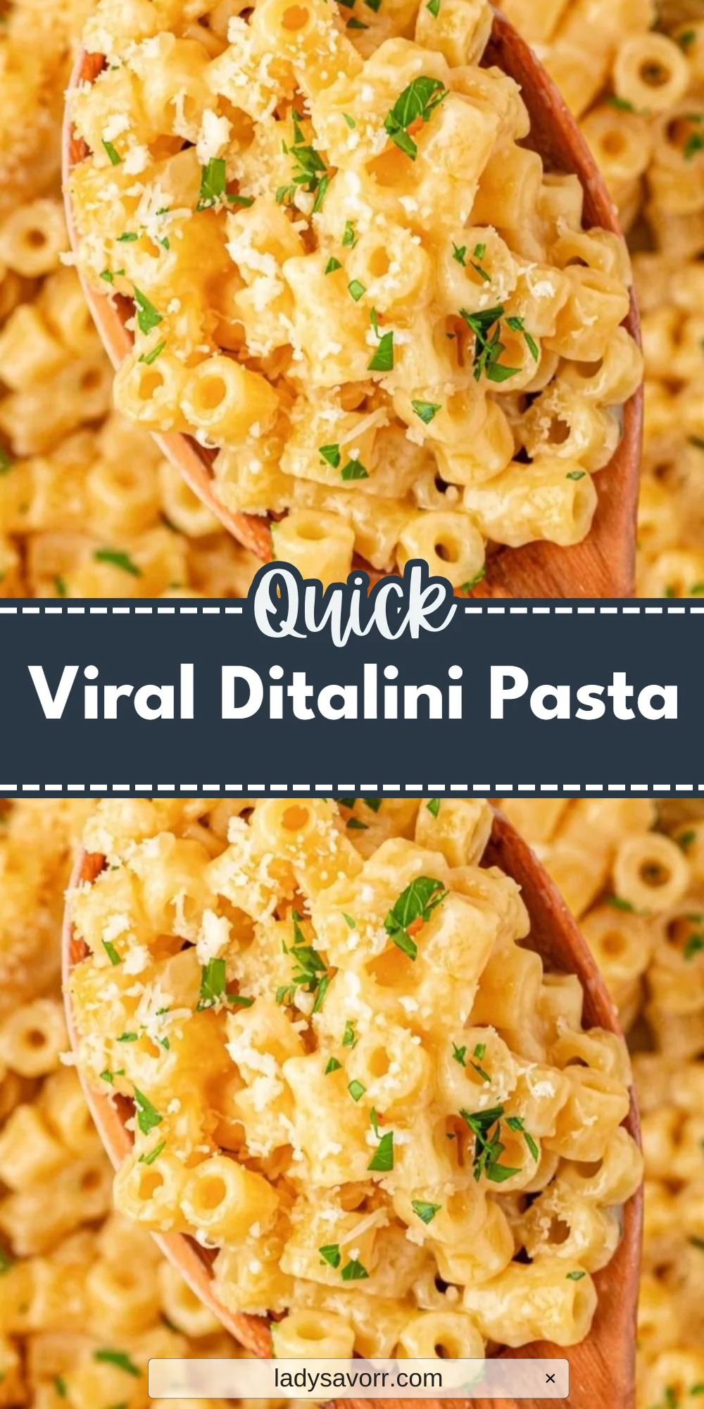 Viral Ditalini Pasta